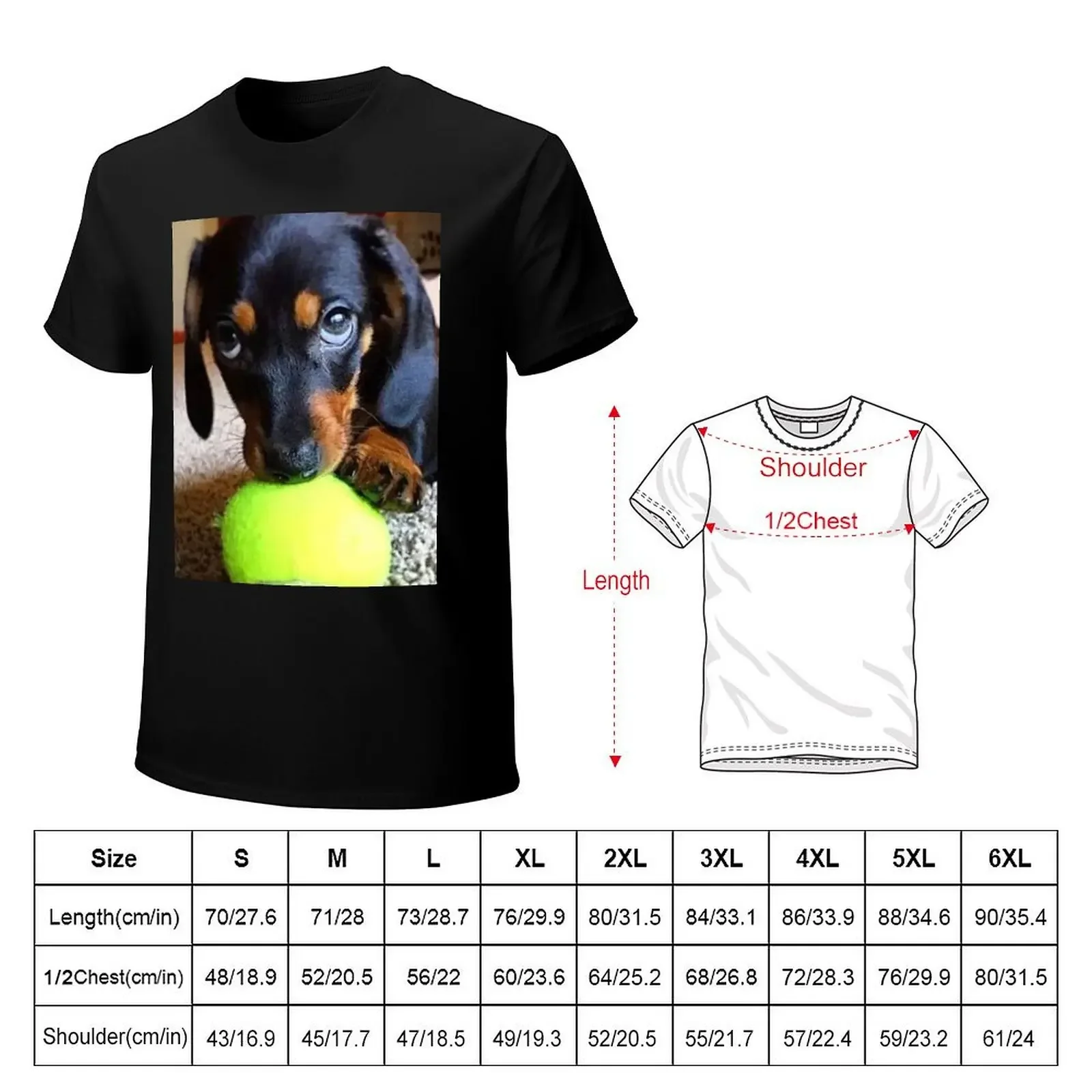 Dachshund Dog photo portrait sweet funny with tennis ball T-Shirt boys animal print new edition korean fashion Men's t-shirt