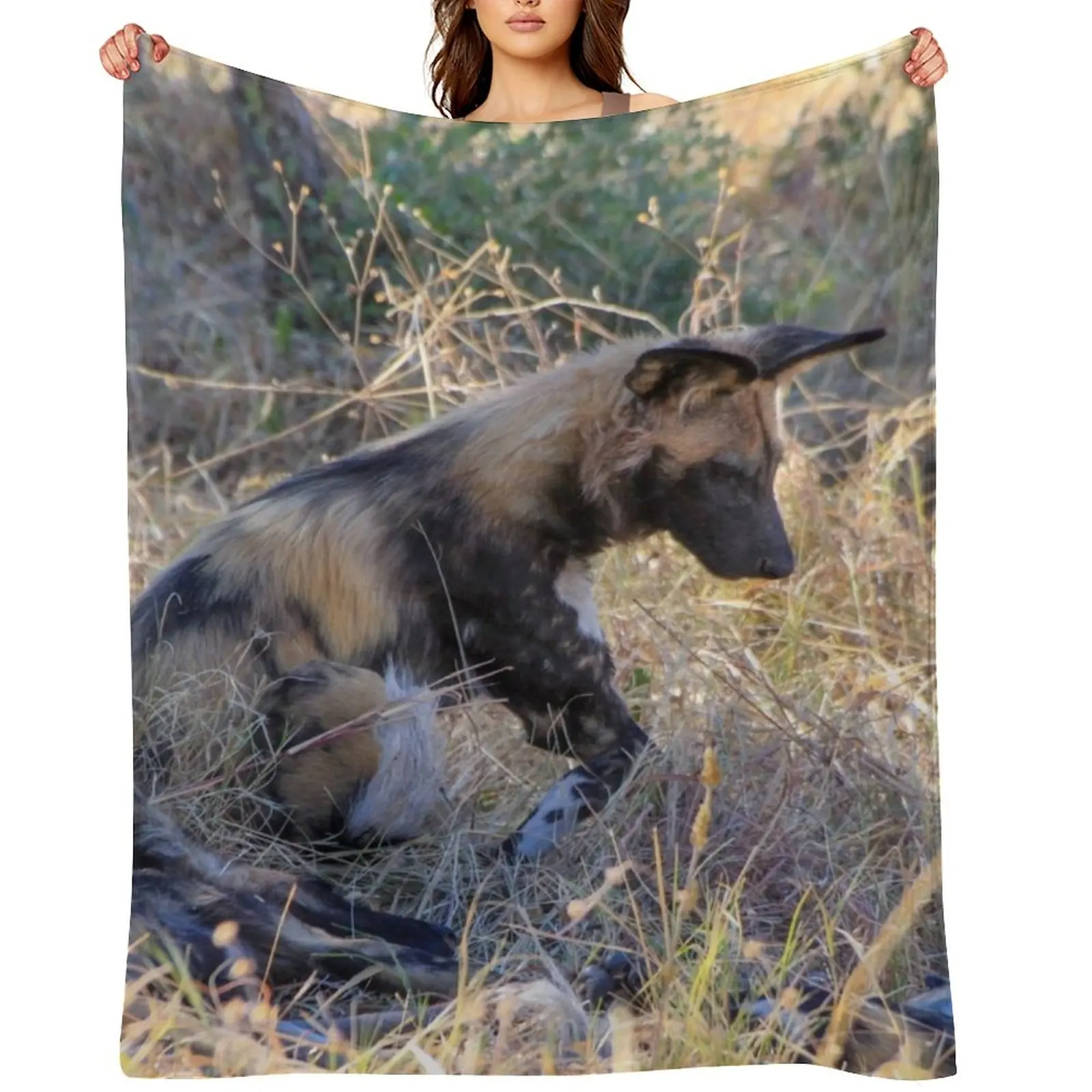 

Wild dog sitting with its pack Throw Blanket for babies For Sofa Thin Blankets For Baby Soft Beds Blankets