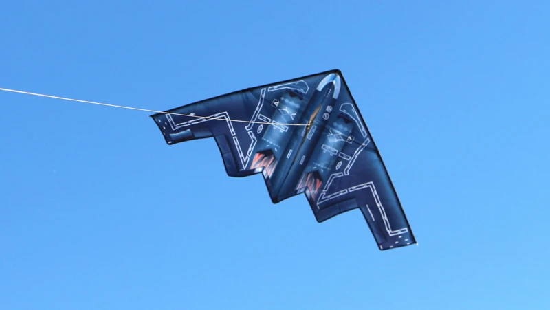 Cerfs-volants d'avion volants, tissu en nylon pour adultes, usine de cerfs-volants, jouets de plein air, ligne de cerf-volants de sport, cerf-volant weifang surf koi