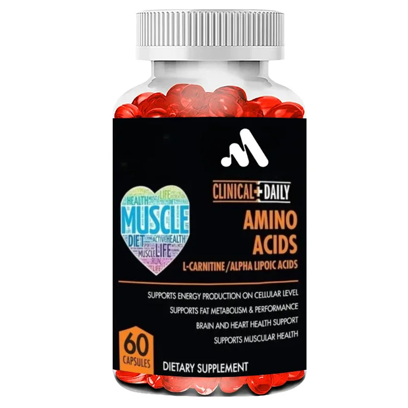Acetil-L-carnitina diaria Ácido alfa lipoico Aminoácido esencial Complejo ALA para promover el metabolismo Salud general -60 cápsulas