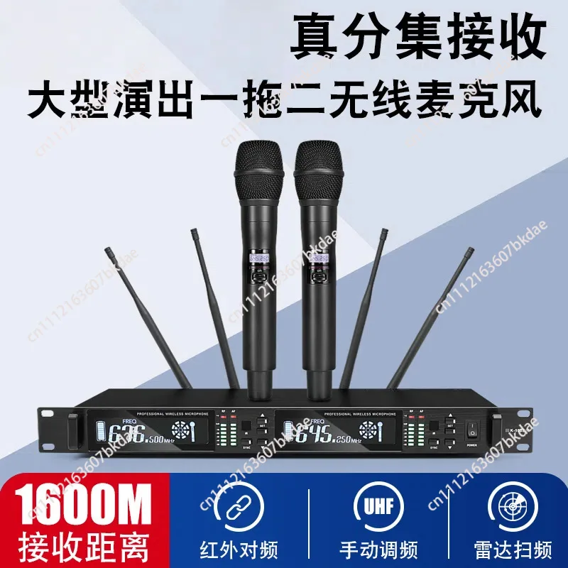 Professional wireless microphone one to two true diversity anti-howling home KTV stage wedding performance microphone