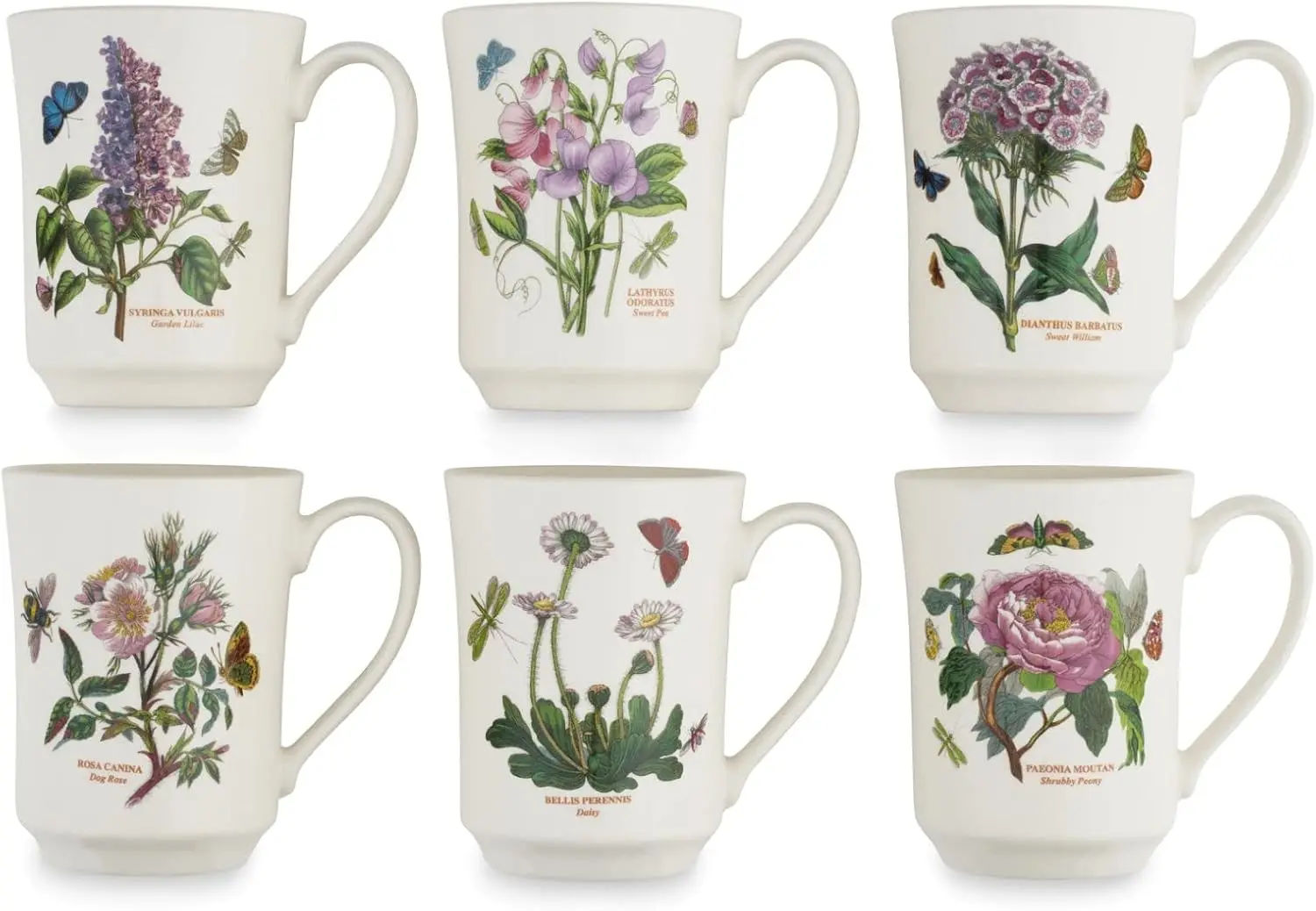Botanic Garden Flared Tankard Mug, 14 Oz - Set of 6