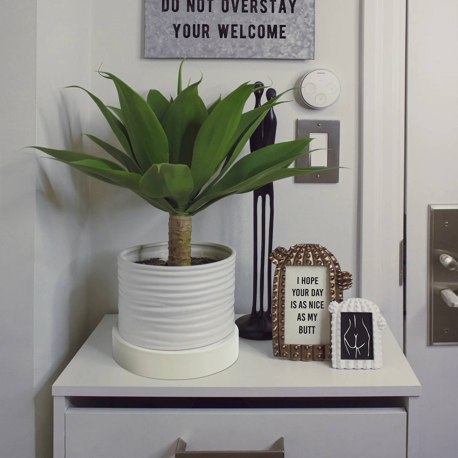 

Flowerpot Tray Plastic Planter Base For Indoor Outdoor Bonsai Pot Water Catcher Gardening Trays Plant Pot Plates