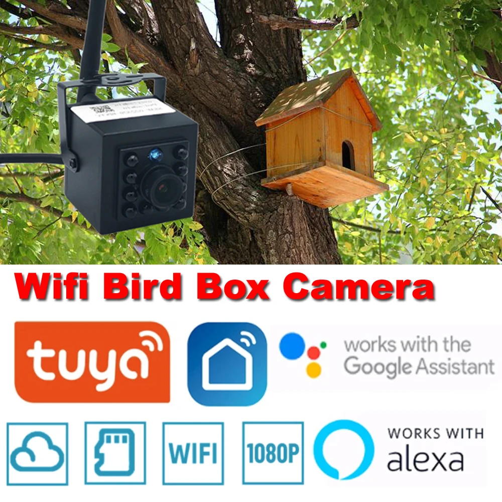 Imagem -02 - Tuya Wi-fi Caixa de Pássaro Câmera Mini Inteligente 1080p 2mp Cctv Visão Noturna Webcam P2p Ipc Monitor de Segurança Vigilância por Vídeo Alexa Google