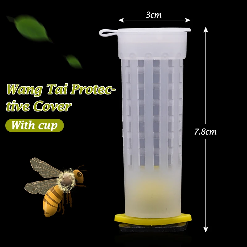 Bee Queen Rearing Cup, Bees Cages Protective Cover, Plastic Cells Bees Box Cages Catcher, Apiculture Beekeeping Equipement 80Pcs