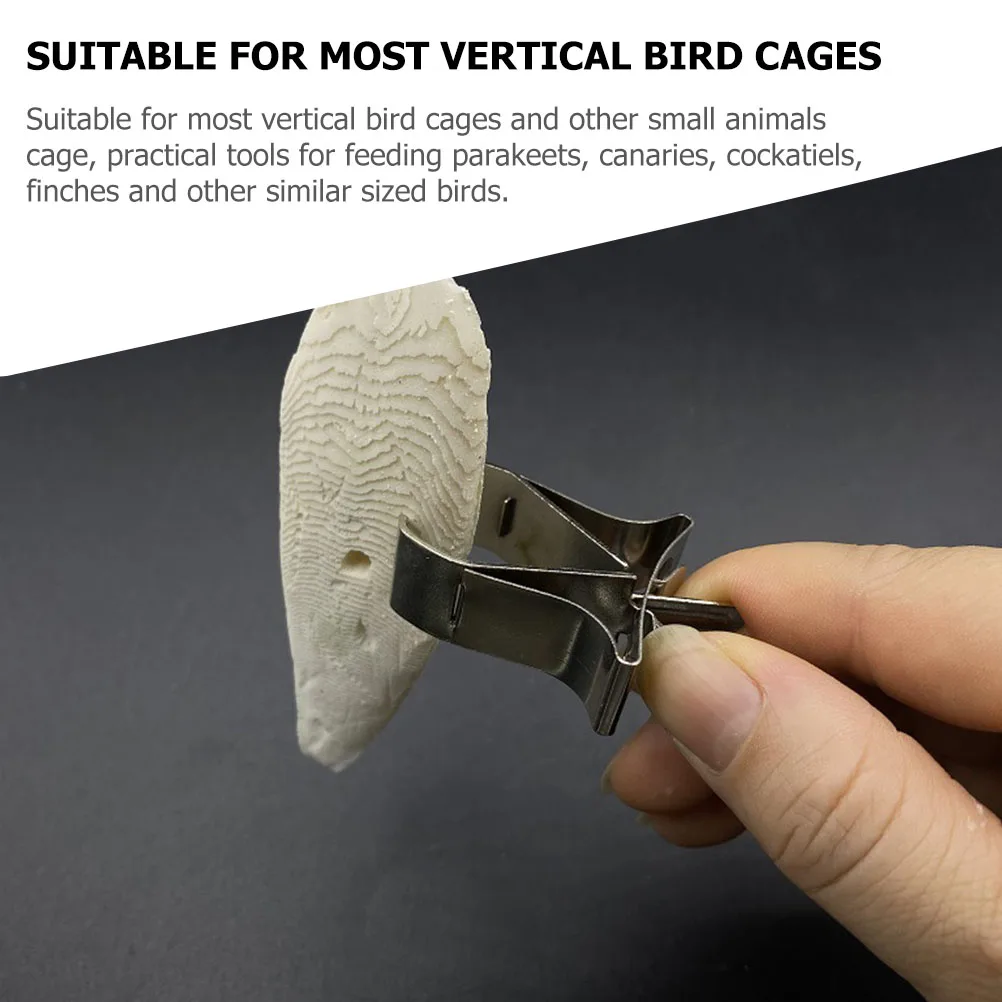 

3 Pcs Stainless Steel Fruit Fork Bird Cage Clips Parrot Food Holder Durable Feeding Tools Vegetable Clamp Pet Supply
