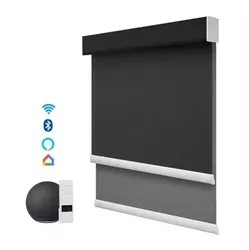 Hot Selling Grade A Fabric And Dirt-Proof  Remote Control Connect Alexa Google Wifi Motorized Double Roller Blinds For Windows