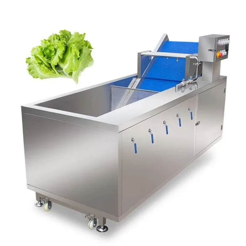 800 kg Capacity Vegetable & Fruit Washer Cleaning Machine for Mango & Cranberry