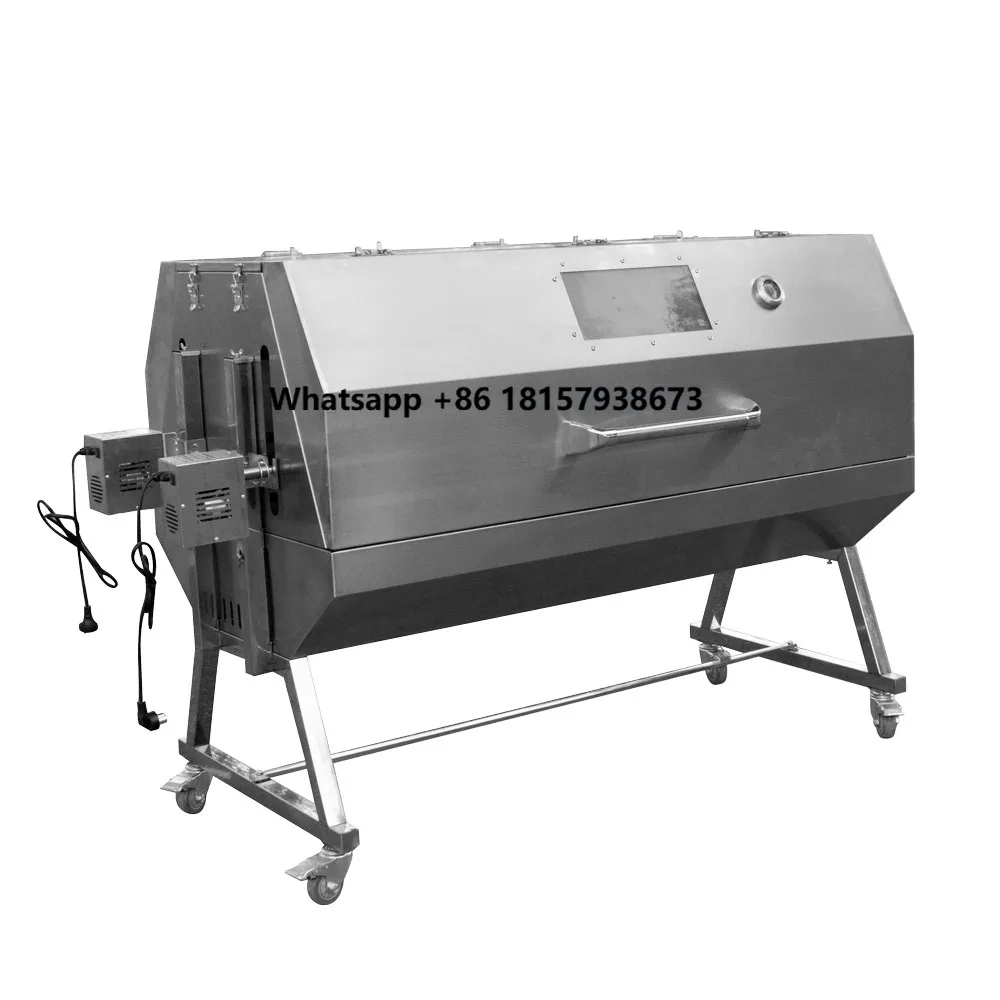 

Double Location Gas Spit Roaster Natural Gas Large Capacity Grill With Grilling Accessories for Garden BBQ