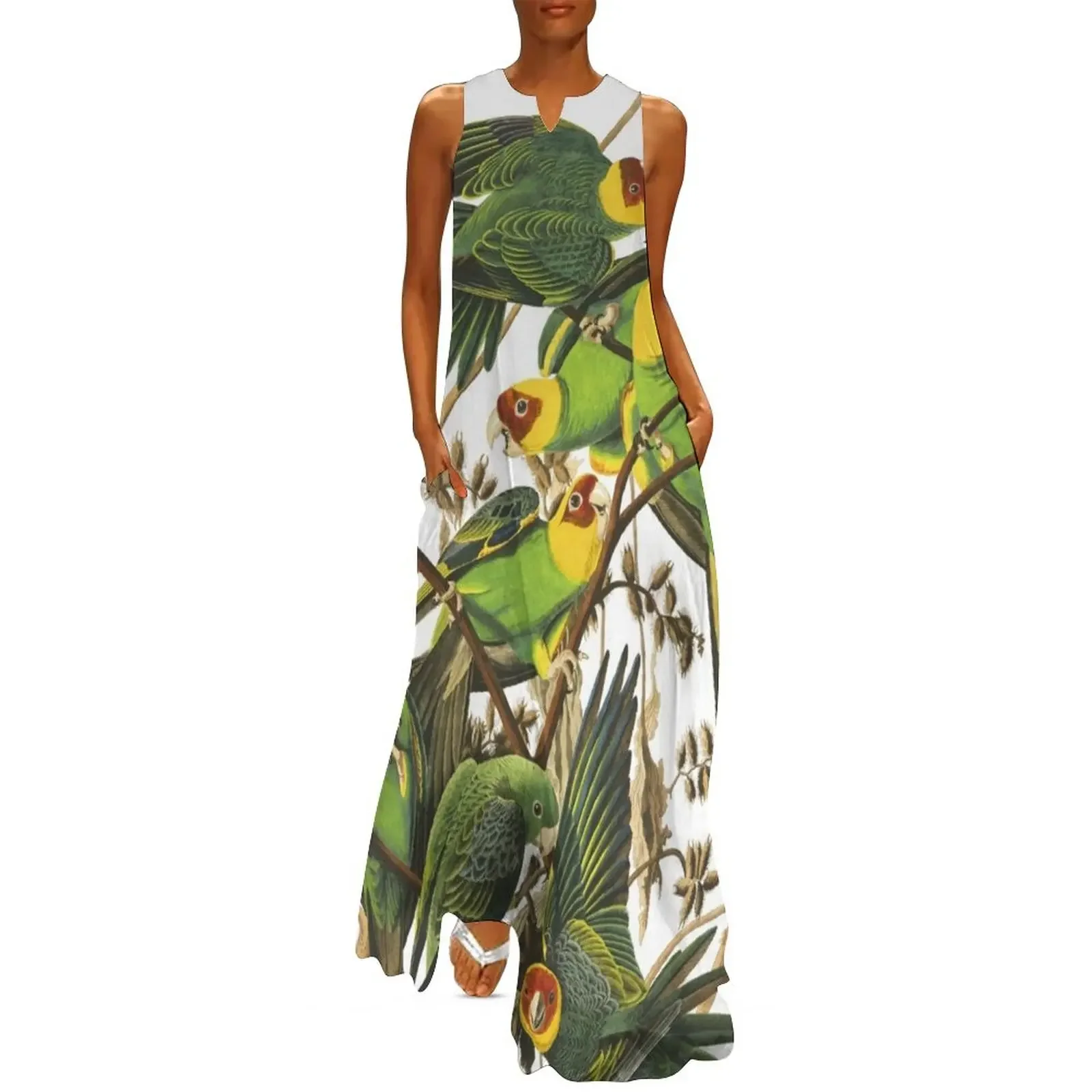 

Carolina Parakeet - John James Audubon Long Dress prom dress dresses for woman dresses for prom Dress
