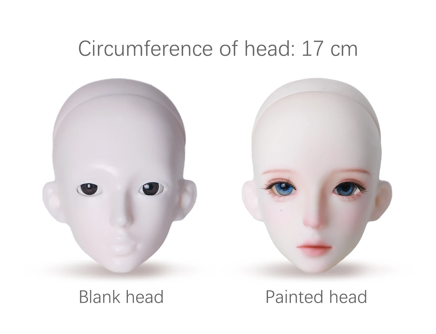 S187c826e2b1c44f2a6d88e378e3e6dc8B