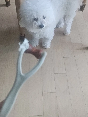 구매후기