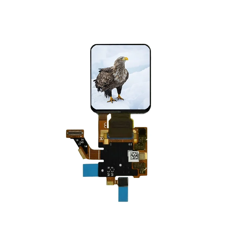 1,6-дюймовый модуль дисплея смарт-часов Amoled 320RGB * 360 с экраном MIPI/SPI и сенсорным oled 1,6-дюймовый модуль дисплея смарт-часов Amoled 320RGB * 360 с экраном MIPI/SPI и сенсорным oled