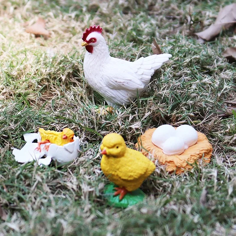 Biology Growth Cycle Model Set Realistic Animal Plant Life Stages Teaching Aids Cognitive Science Learning Adults Creative Gifts