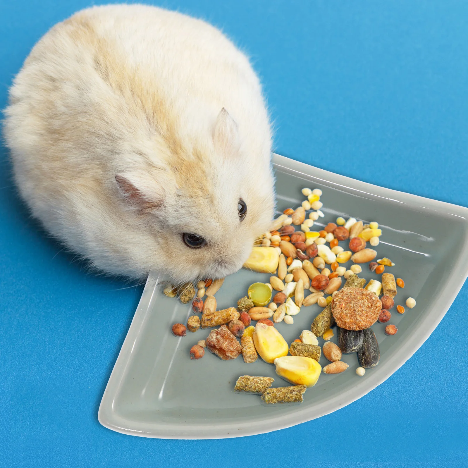 

1Pcs Chew Proof Ceramic Bowl Pet Feeding Basin Hamster Food Feeder Drinking Bowl Suitable for Small Pets Feeding Basin