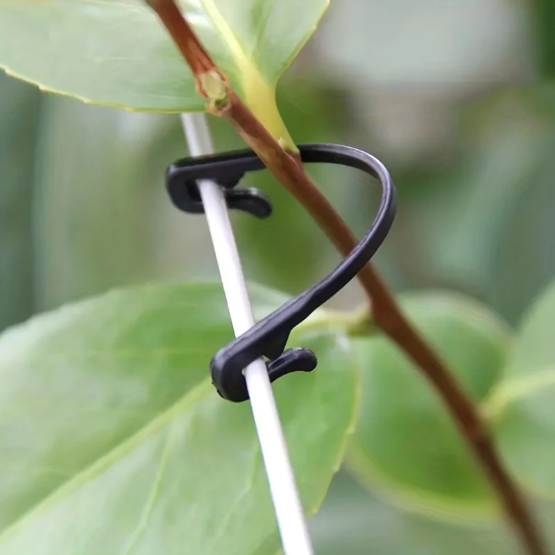 50/100Pcs Kiwi Grape Branch Tying Clips Hooks Tying Machine Branch Clips Wire Grape Sapling Branch Tying Straps