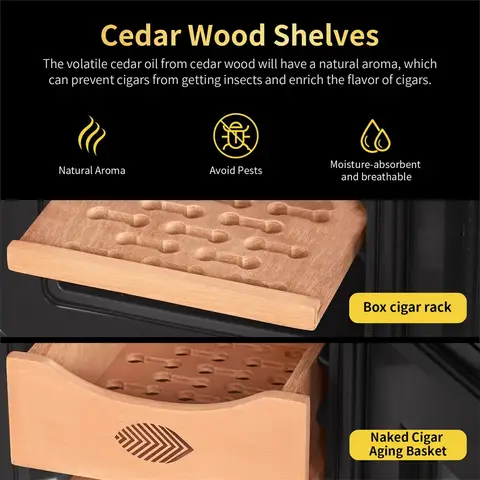 8 best sales सिगार कूलर - №4