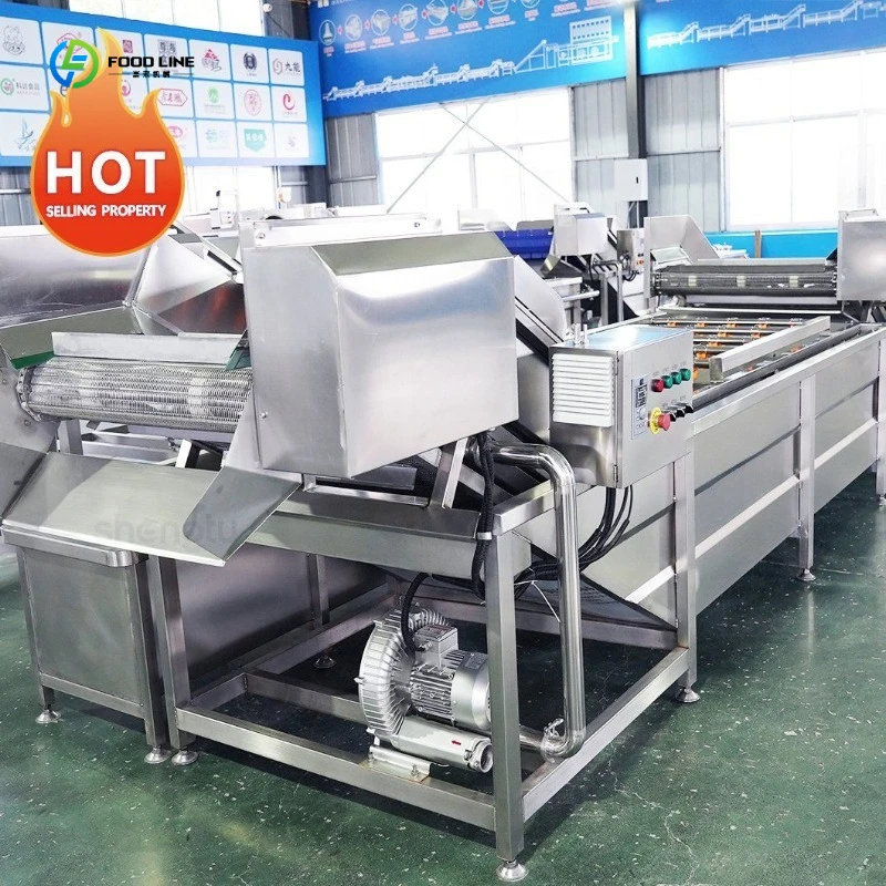 Fully Automatic Fruit Vegetable Bubble Cleaning Machine Food Cleaning Production Line Vegetable Washing Machine FL Customized