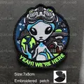 patch  29