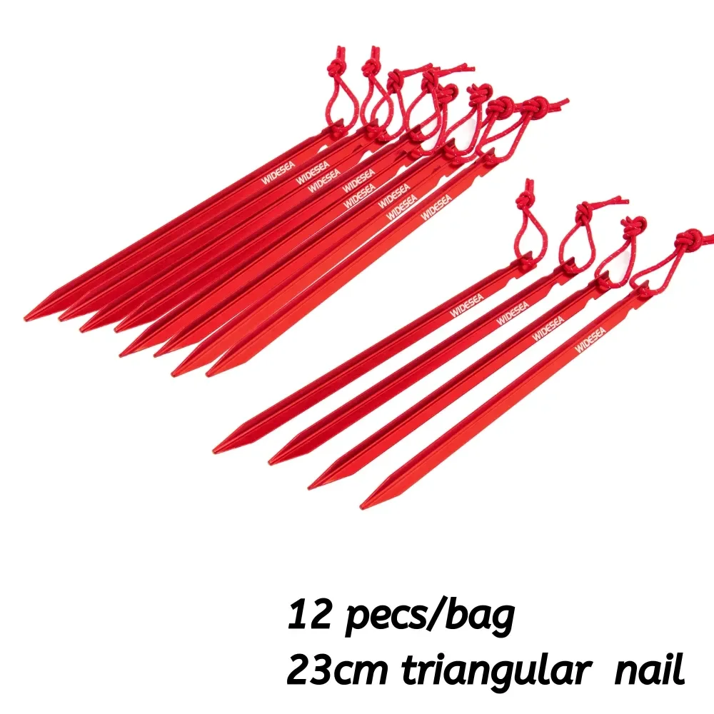 12pecs 23cm nail