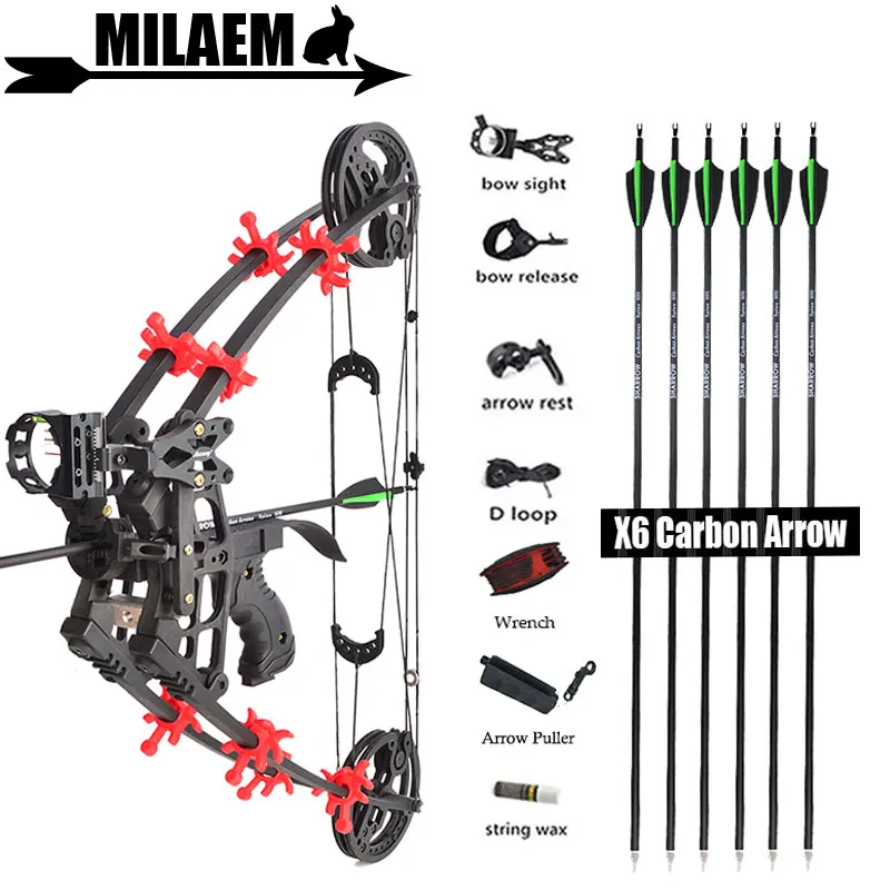 

Archery 45lbs Compound Bow Steel Ball Bow RH LH Shooting Outdoor Bow And Arrow Shooting Hunting Accessories