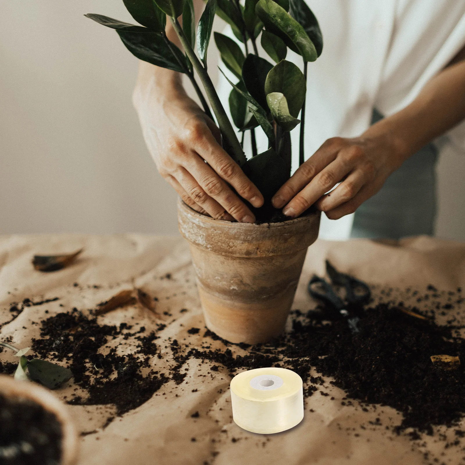 5 قطعة 5 لفات بولي كلوريد الفينيل تطعيم فيلم ذاتية اللصق شفافة لمط النبات التفاف الفيلم لحديقة تطعيم أداة برعم الحماية