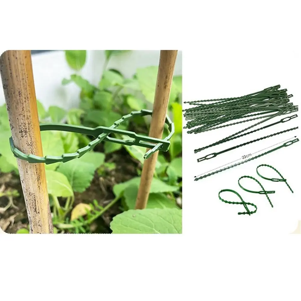 31pc/set Fixed Bundled Buckle Plant Vine Strapping Clips Grape Support Hook Gardening Accessories Climbing Plant Vine Clips