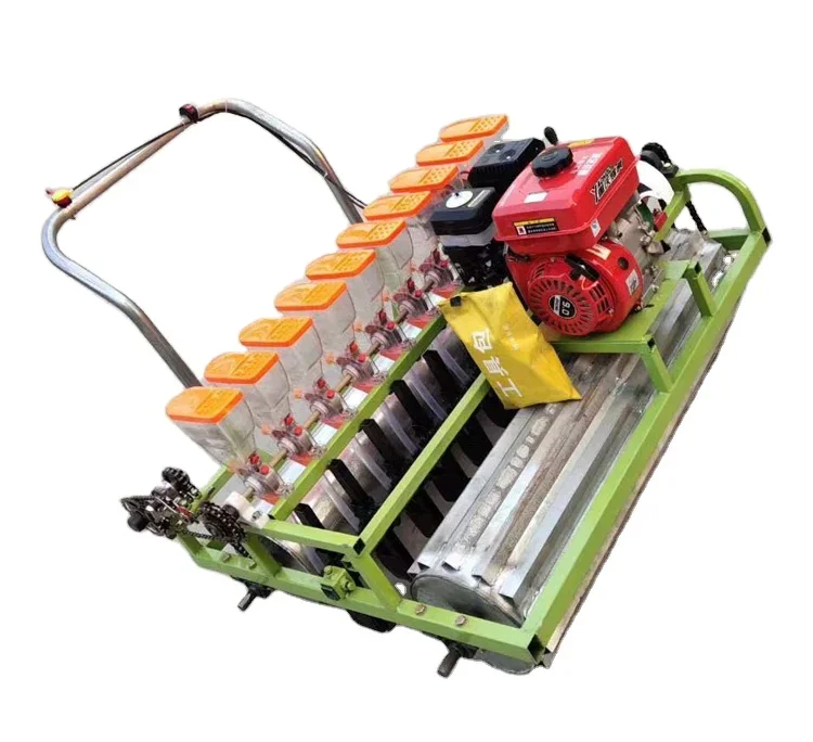 Agricultural Machinery Five Rows Vegetable Seeders Machine Onion Carrot Vegetable Motor Mounted Planter For Tractors