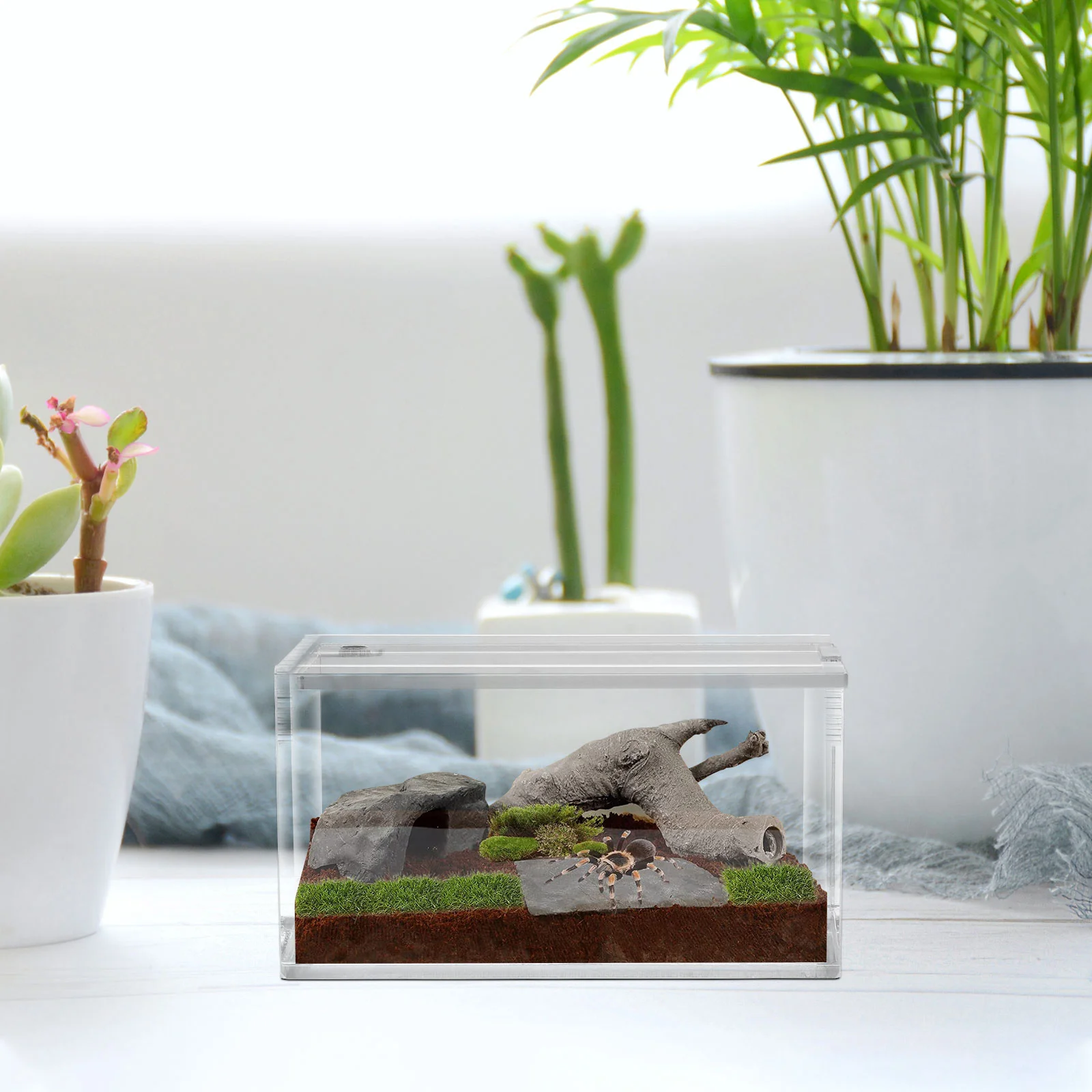 Acrylic Crawling Pet Box Reptisoil Case for Reptile Transparent Terrarium Habitat Storage Nest Travel