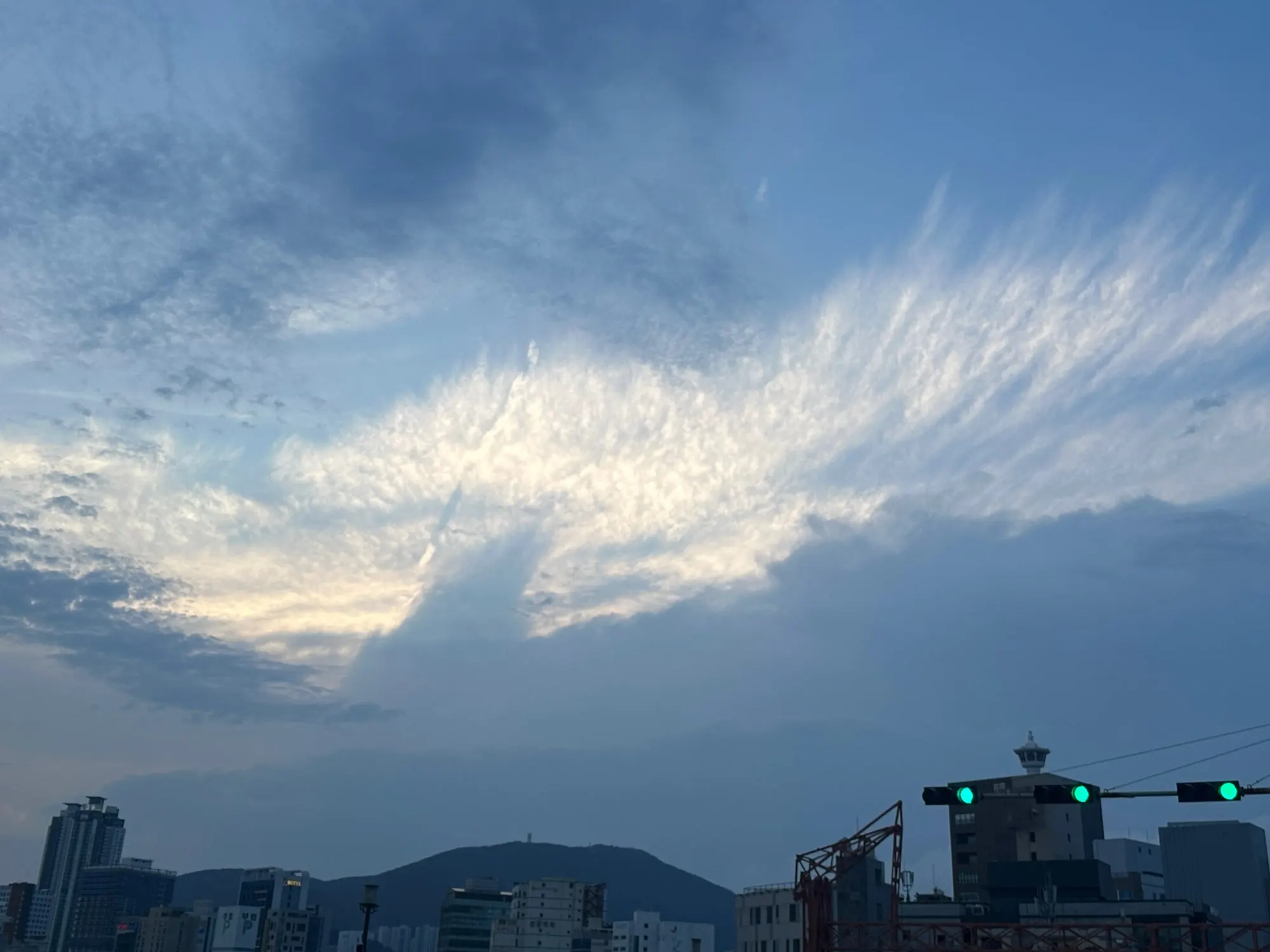 리뷰 사진