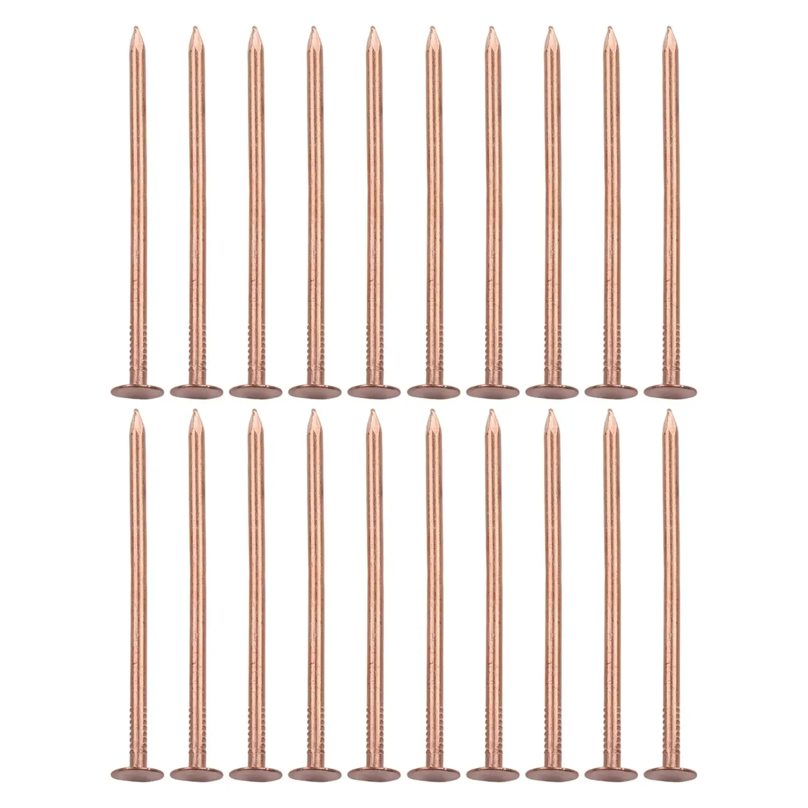 Effective Root Elimination Copper Tree Stump Killer Excess Copper Ions Release Large Sizes Available Non-Disturbing Method