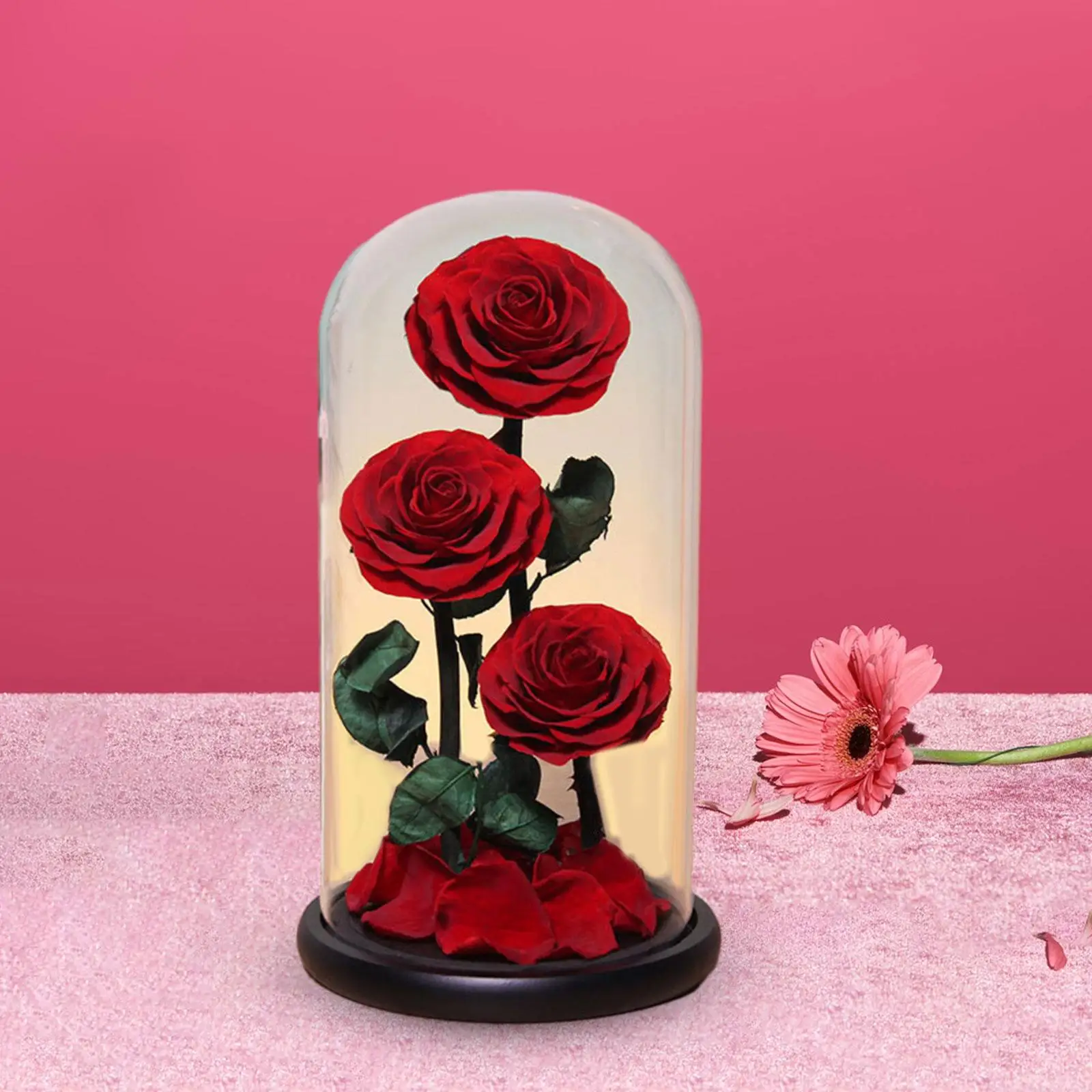 Eternal Rose in Glass Dome Valentine Gifts for Women Men Real Flower Wood Base Decor