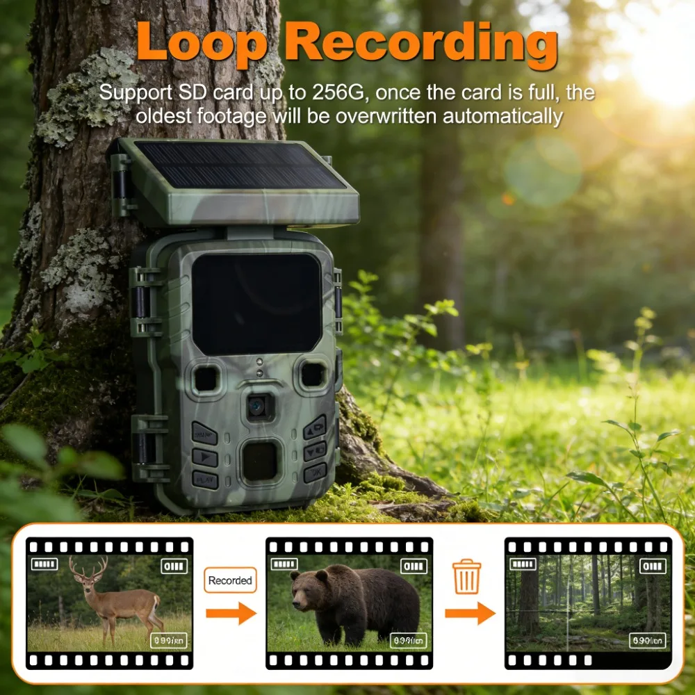 Thumbnail 4 - #8 Trending Wildlife Cameras Right Now