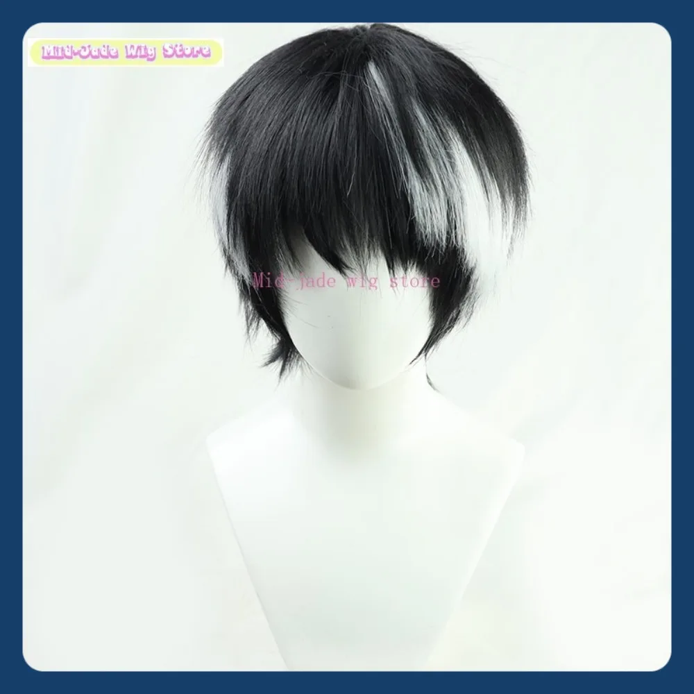 

Kamen Rider Ex-Aid Hiiro Kagami Косплей Парик Аниме Игра Ролевая игра Хэллоуин Вечеринка Представление Синтетические волосы Парик среднего нефрита