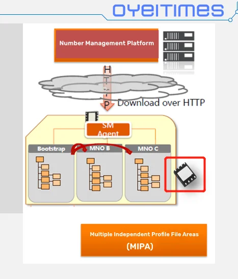 Oyeitency ESIM Card GSM USIM 2G e 3G e 4G RSP/M2M Milenage GSMA
