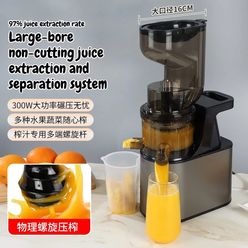 Stainless Steel Commercial Cold Press Juicer 126mm Large Feed Chute Automatic Pulp Separation for Whole Fruits Vegetables