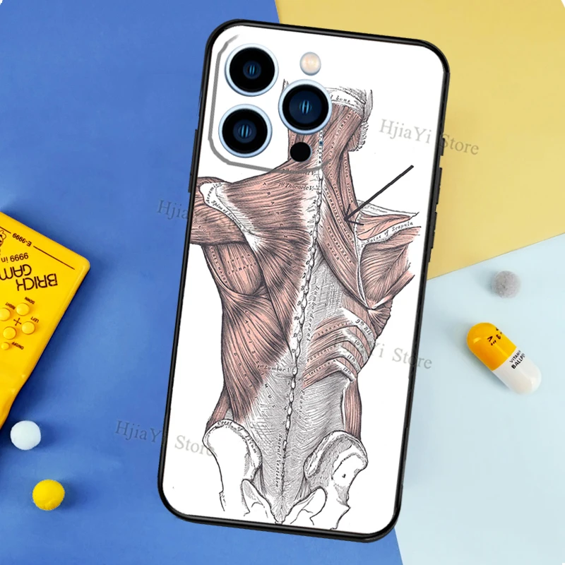 Human Anatomy Case For iPhone 13 Pro Max 12 Mini 11 14 15 16 XS MAX XR Plus Silicone Phone Cover