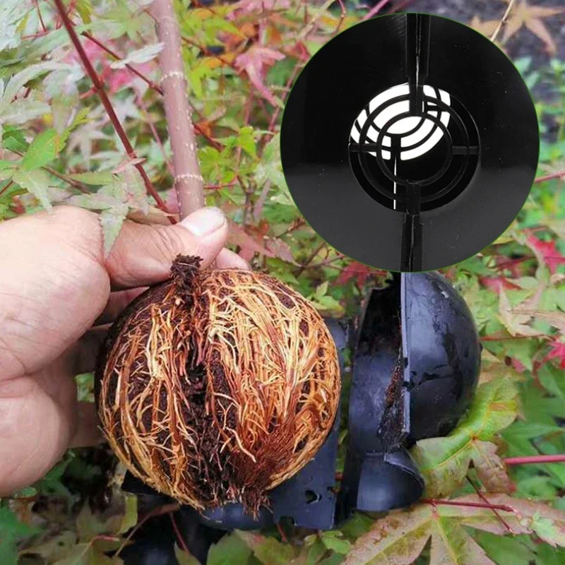 Plant Propagation Rooter Spherical Root Controller Horticulture Gardening High Pressure Cuttings Grafting Box Seedling Balls