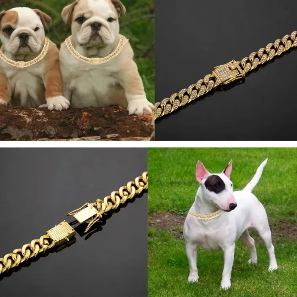 Thumbnail 4 - #19 Compare Dog Collars Before You Buy