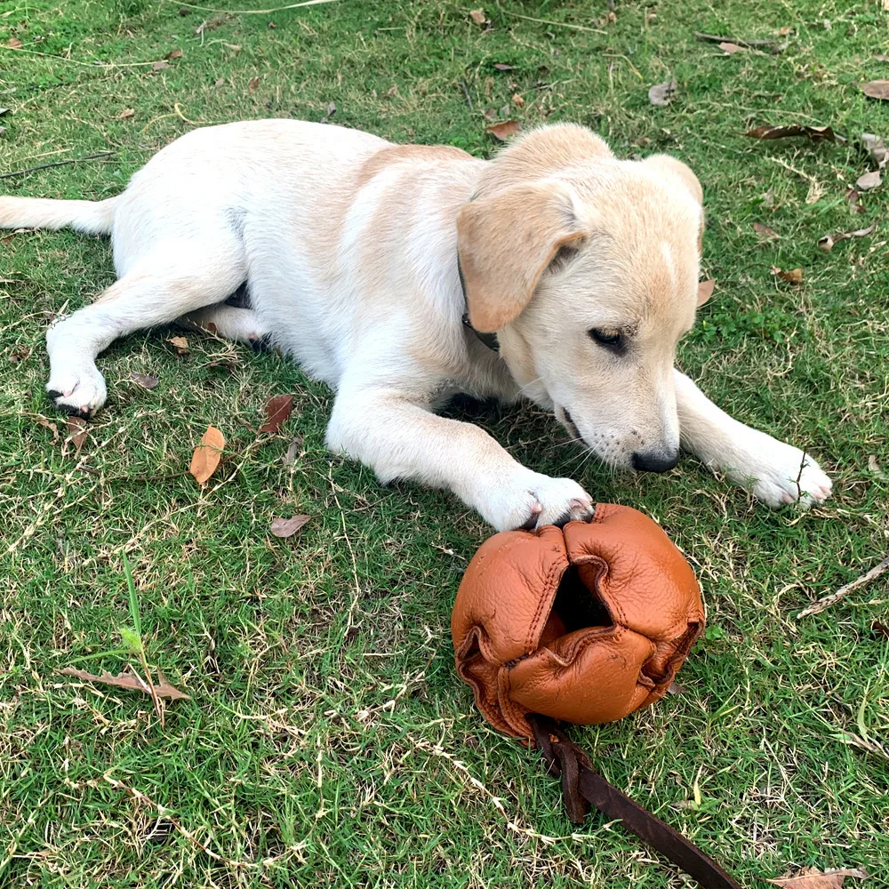 

Кожаный устойчивый к укусам игрушечный мяч для собак, мяч для дрессировки собак из воловьей кожи для предотвращения укусов моляров, прочный для дрессировки немецкой овчарки