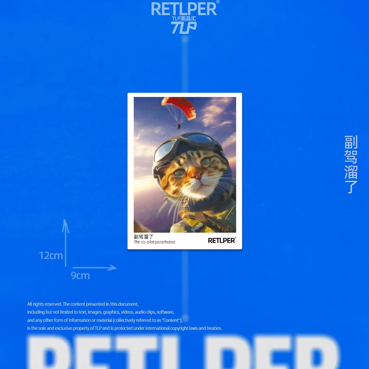 Retlper reflecterende autosticker Origineel ontwerp: Passagiersstoel Kat die een vliegtuig bestuurt Polaroid-stijl platte sticker