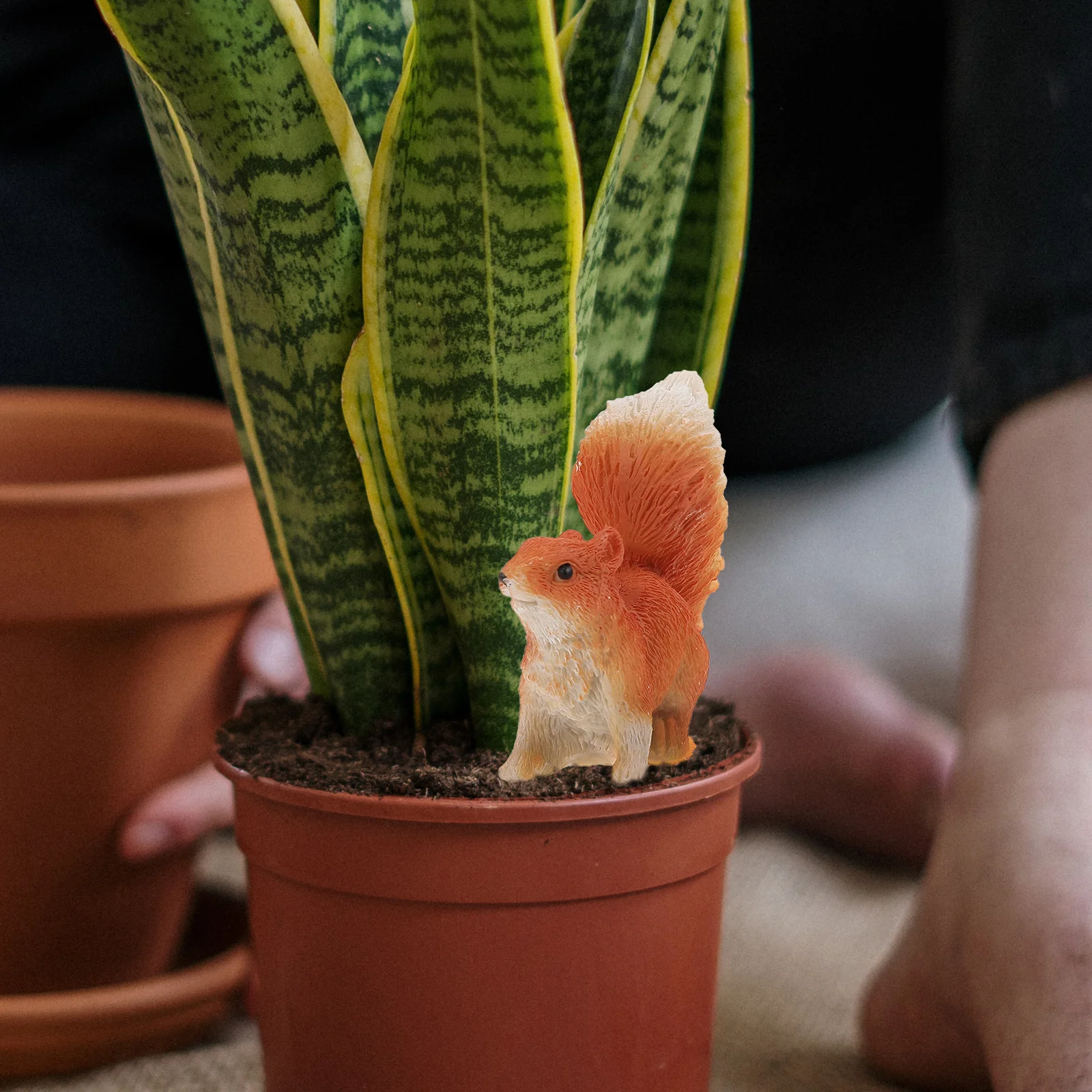 10pcs Mini Squirrel Premium Durable Eco-Friendly Cute Garden Home Office Landscape Ornament Fairy Micro Decor Gift