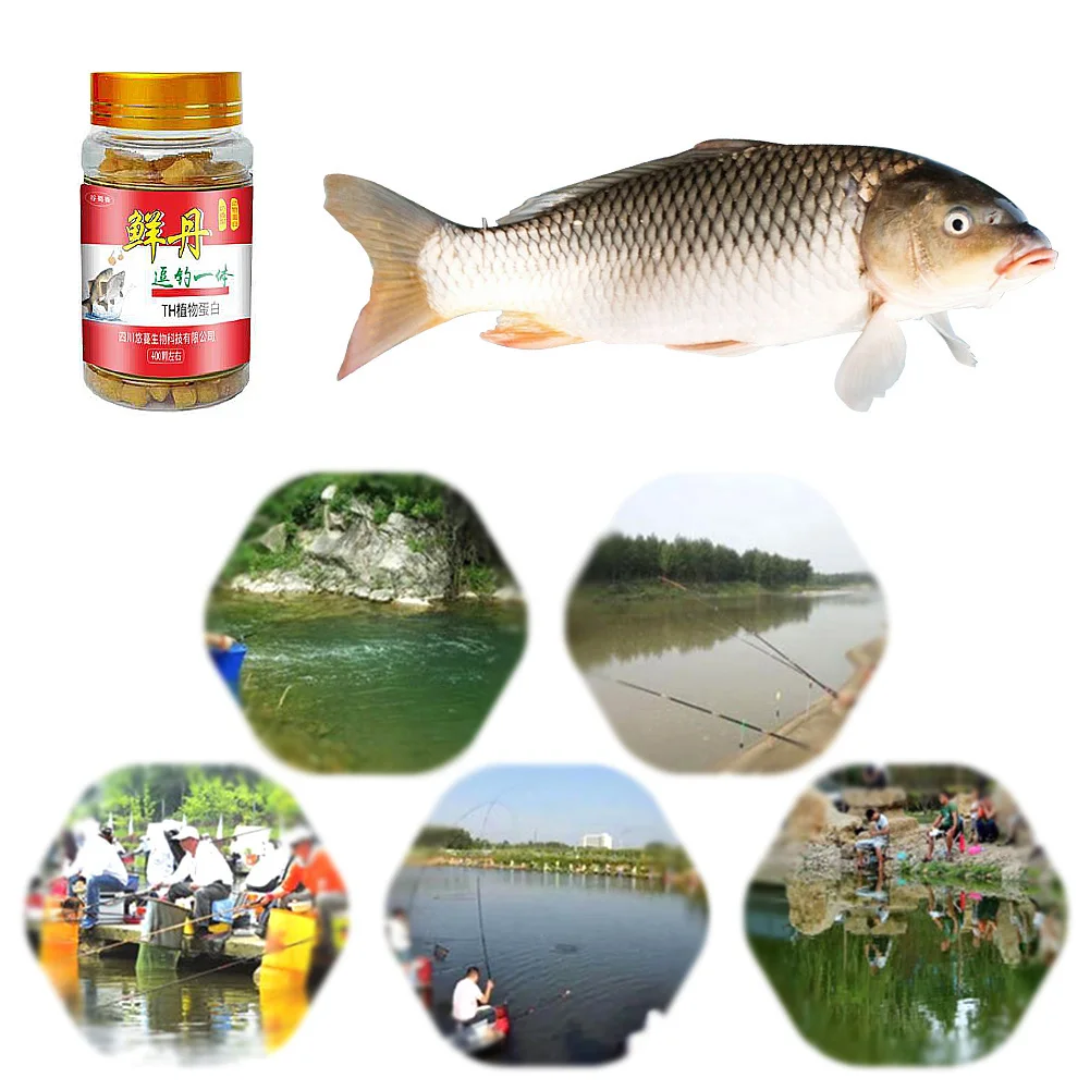 Bait Pellets Hanging Bait Freshwater Crucian Carp Grass Fish Bream Bait for Bass Trout Fishing Accessories