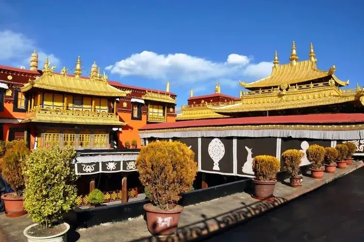 8" large royal TOP quality turquoise Tara Bodhisattva figure Holy Salvation Buddha Mother statue Altar worship Buddhist