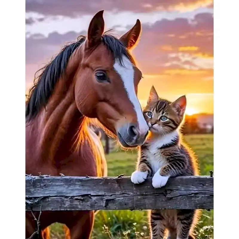 

Painting By Numbers Acrylic paints Crafts DIY Kits for Beginners Horse Easy Acrylic on Canvas Handpainted Paint Kit for Beginner