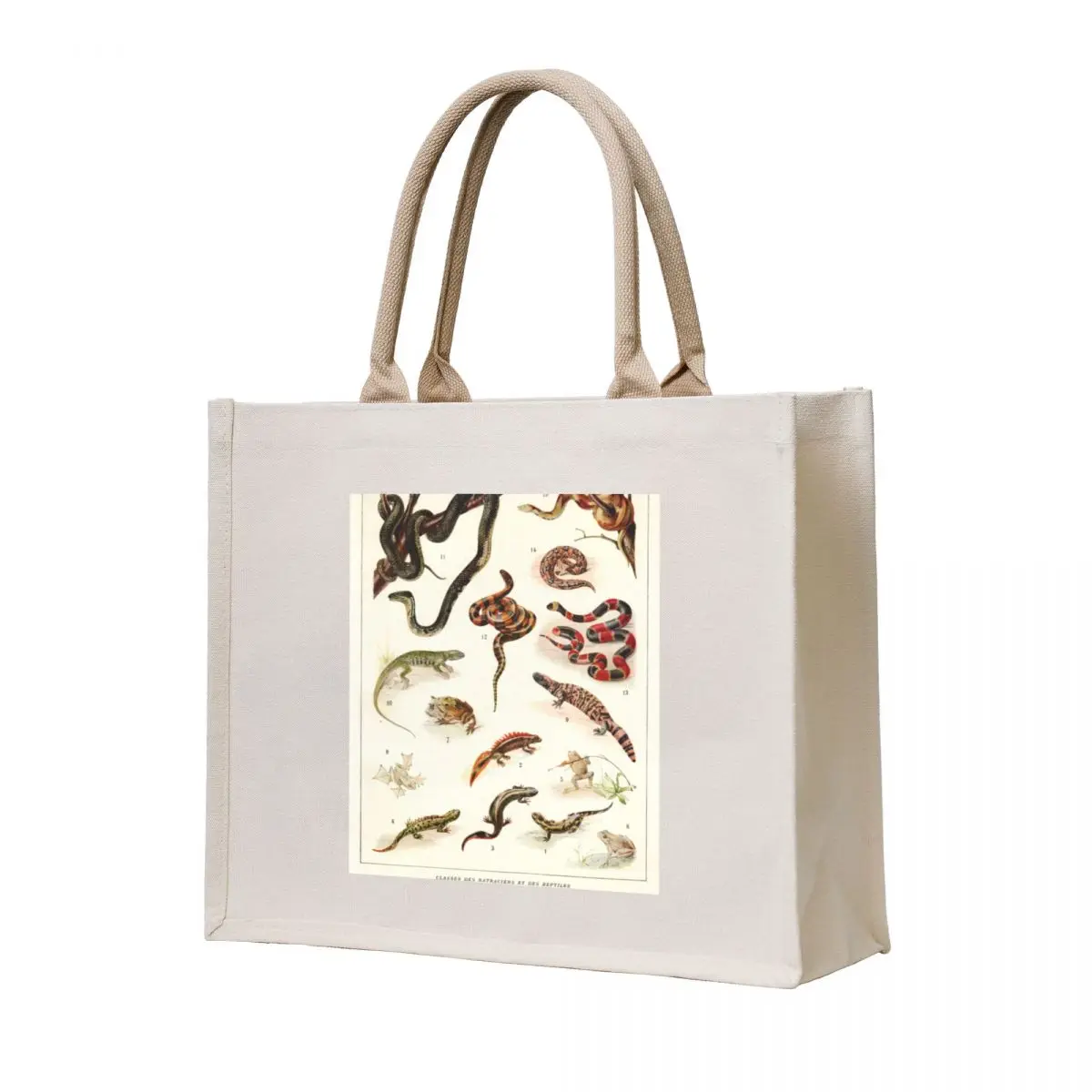 

Adolphe Millot - Batraciens et reptiles - French vintage zoology poster Tote Bag Cloth bags large size bags tote bag men's