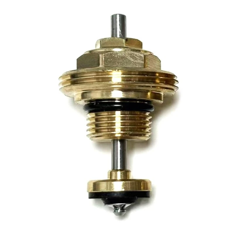 

Латунные обратные штифты клапаны ядра подночного нагрева аксессуары