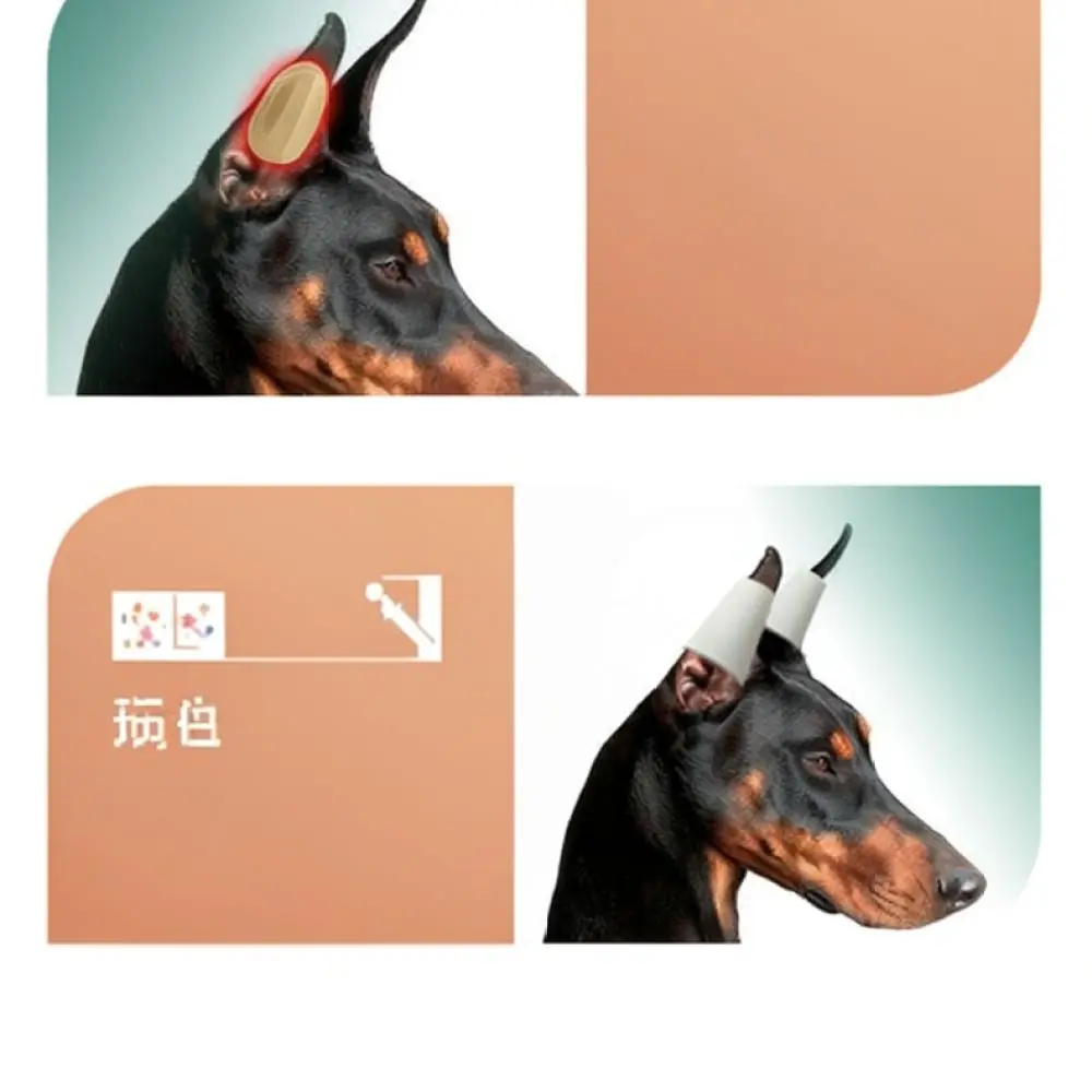 Pet Ear Stand Correction Sticker For Doberman Shiba Inu Dog Puppy Ear Support Upright Nursing Tooling Accessory