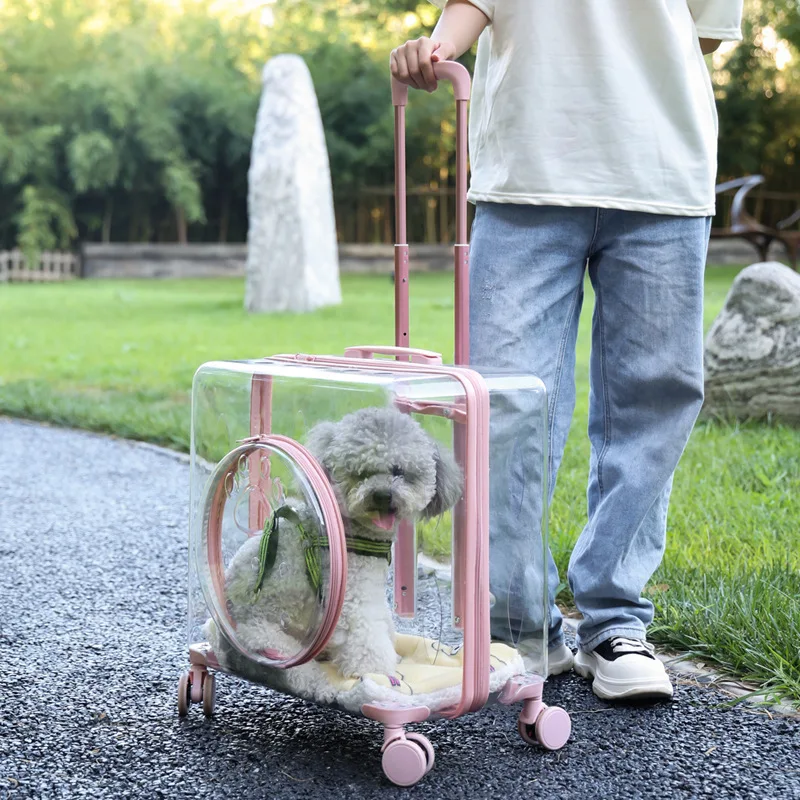 

Versatile Outdoor Cat Carrier and Luggage with Transparent Design, Breathable Mesh, Multiple Pockets and Removable Wheels