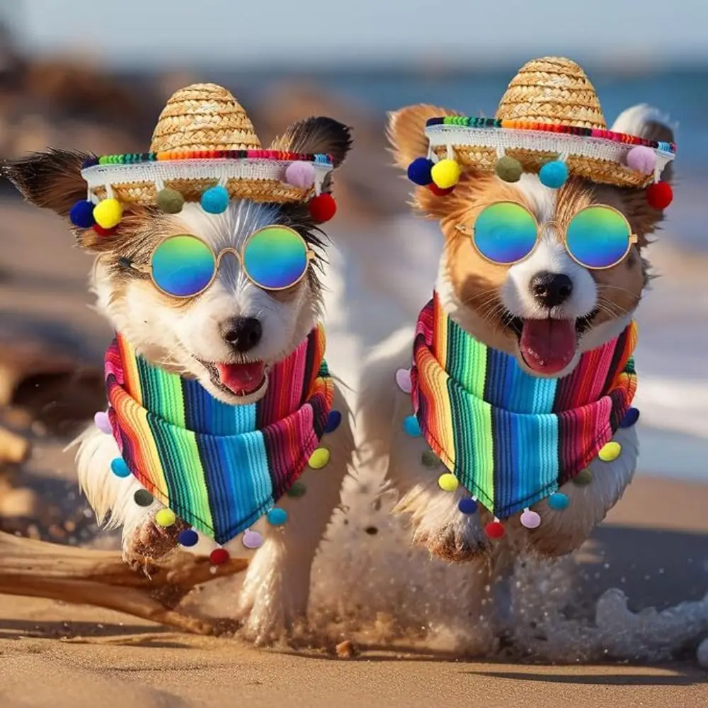 

Pet Supplies Adjustable Pet Hat Scarf Mexican Style with Glasses Dog Bandanas Multicolor Pet Neckerchief Hairball Grass Hat
